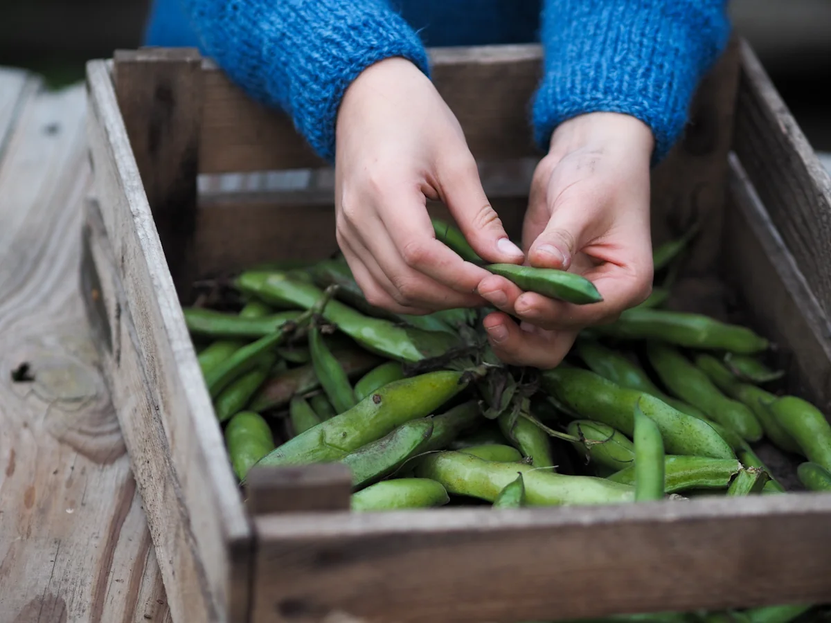 Une personne qui prépare des poids gourmands